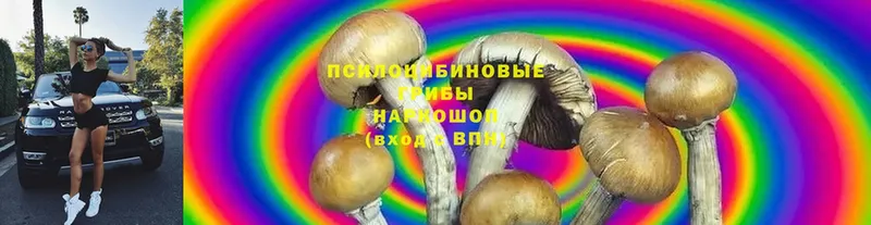 Псилоцибиновые грибы MAGIC MUSHROOMS  закладки  Кумертау 